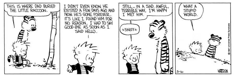 Calvin pleure la mort d'un raton laveur