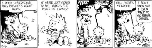 Calvin And Hobbes' 10 Funniest Philosophical Conversations