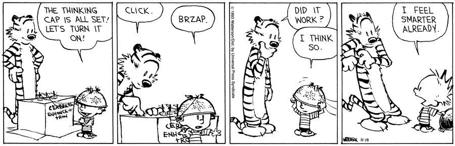 Calvin and Hobbes Thinking Cap