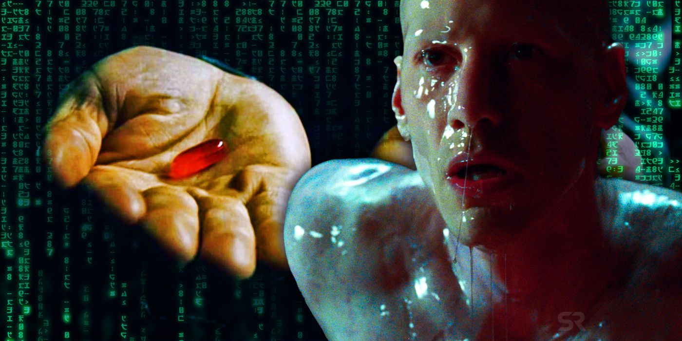 Is The Matrix A Trans Allegory? Original Plan & Character Changes Explained