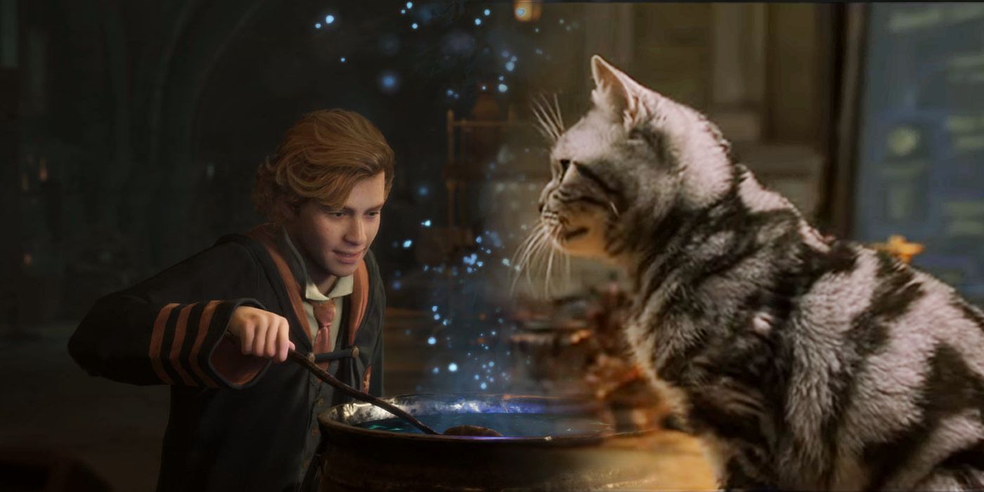 Un estudiante de Hogwarts Legacy preparando una poción a la izquierda, y el gato animago de Minerva McGonagall mirando a la derecha.