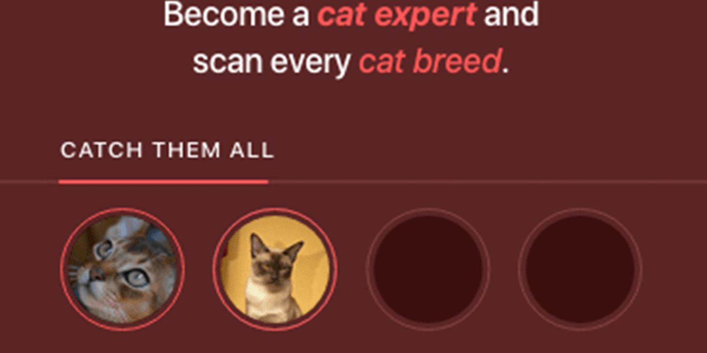 A screenshot  is taken from the Cat Scanner app