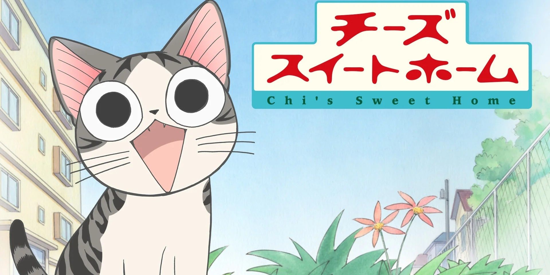 10 Best Anime Every Cat Owner Needs to Watch