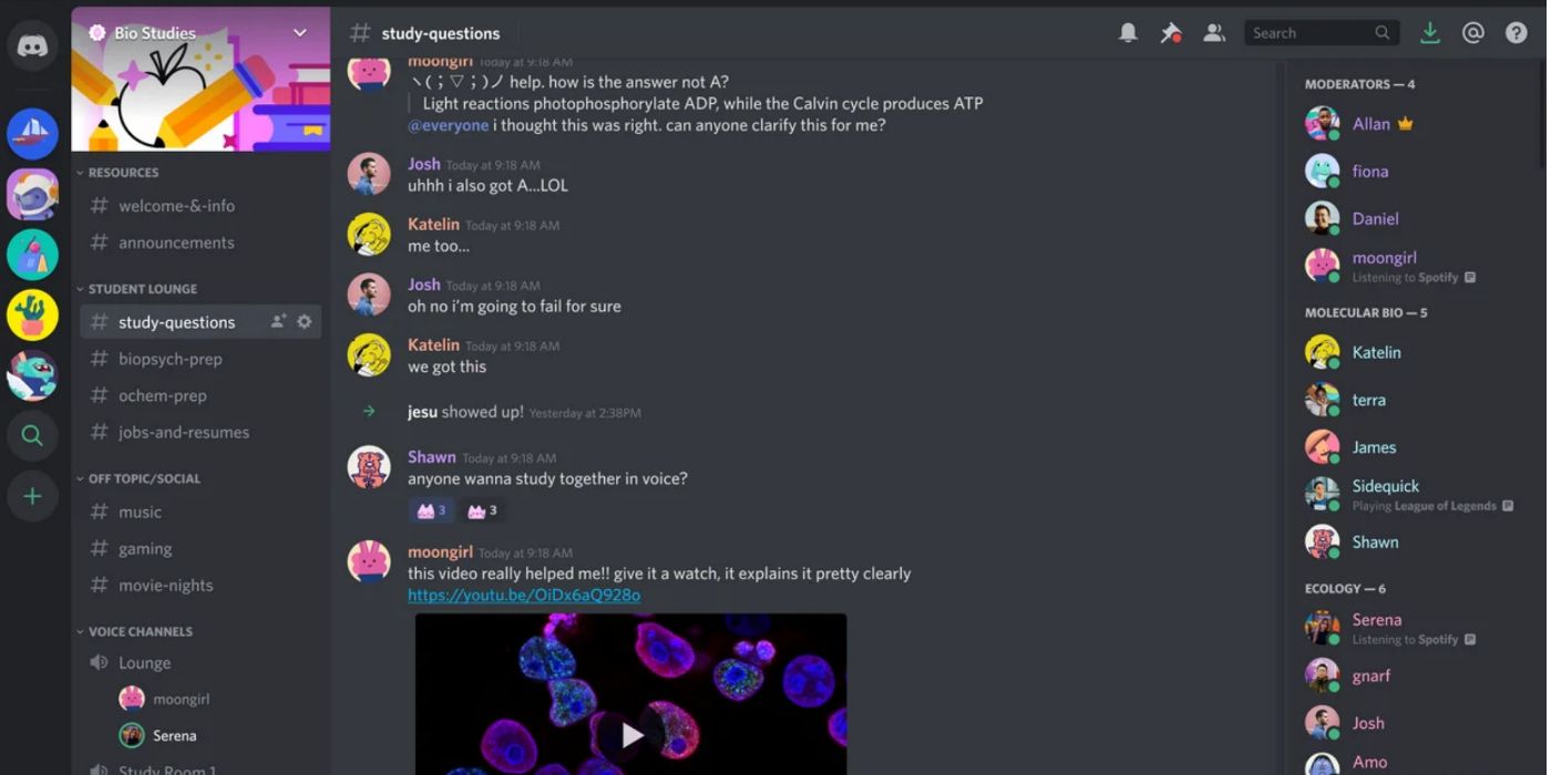 Interface image of the Discord app. 