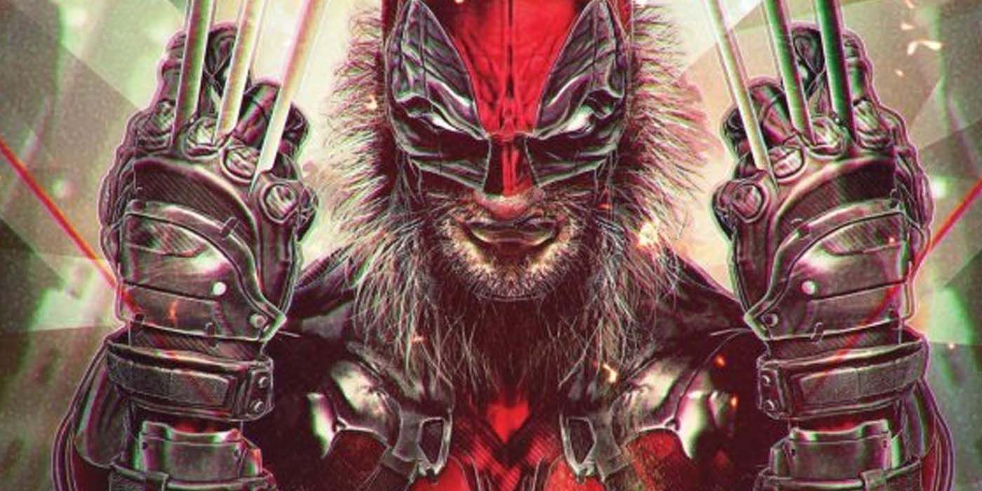 Deadpool Wolverine Combination Hero