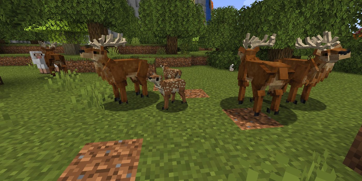 Animals We Hope Minecraft Adds In 2023