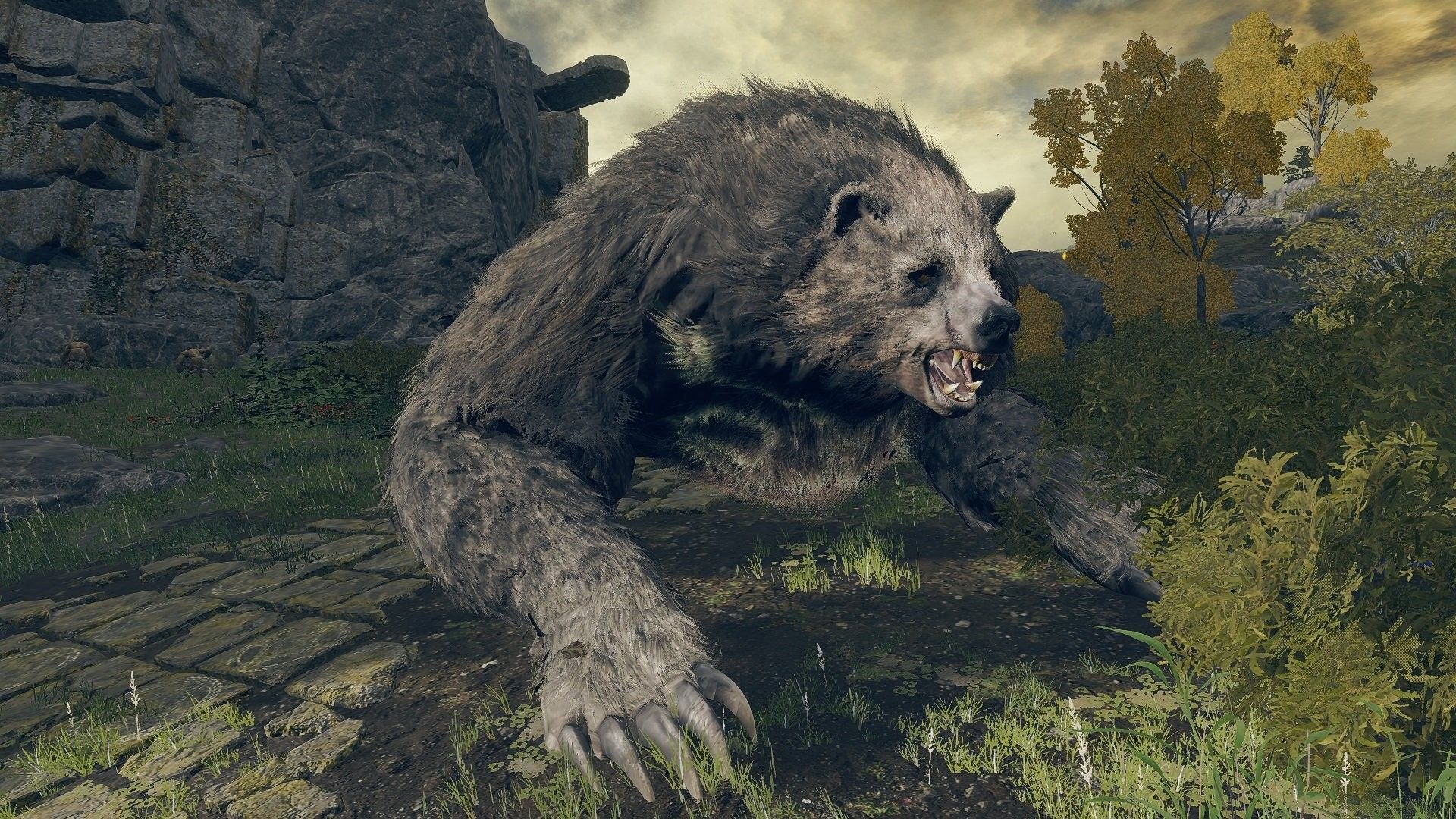 Elden Ring Lesser Runebear enemy growls to side of camera in a forest backdrop with ruins
