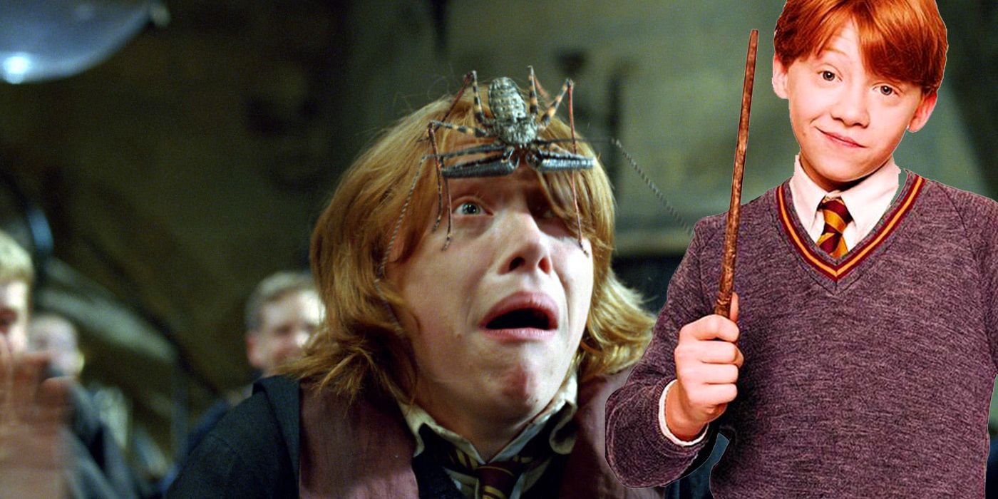 Harry Potter: Why Ron Weasley Is Afraid Of Spiders?
