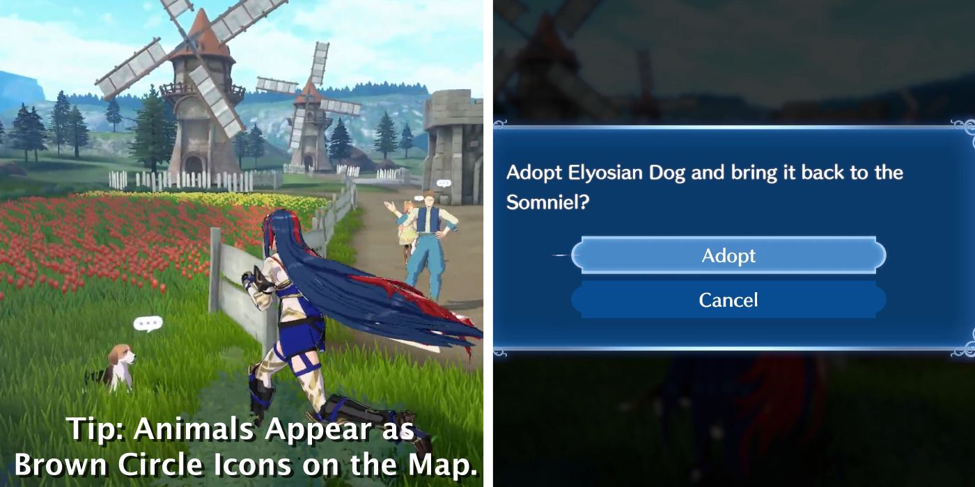 Finding and Adopting a Dog in Fire Emblem Engage During Chapter 4