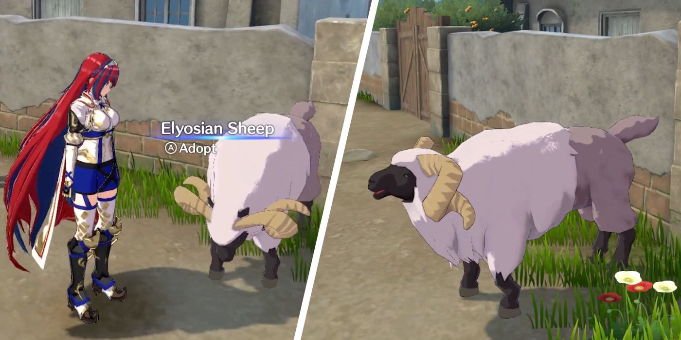 Finding and Adopting an Elyosian Sheep in Fire Emblem Engage