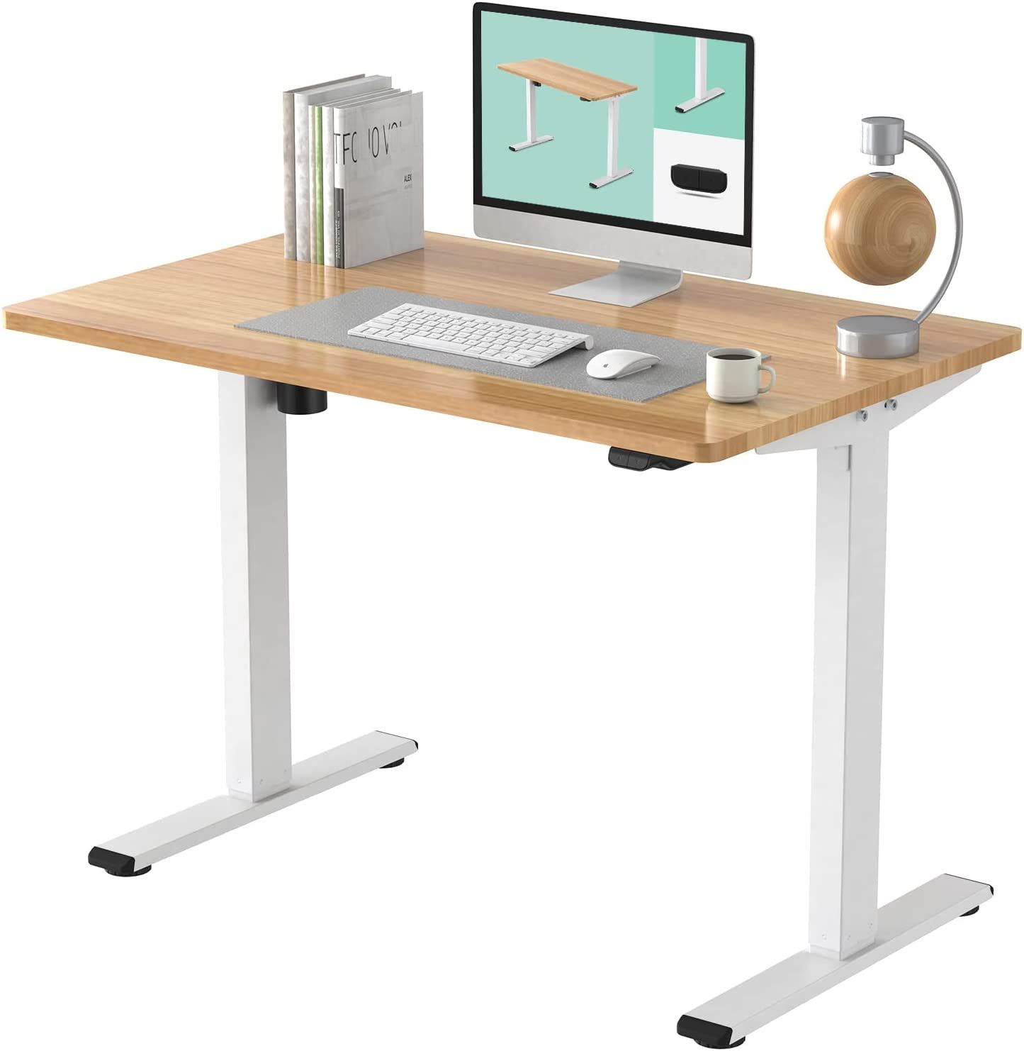 FLEXISPOT EC1 Essential Electric Adjustable Height Standing Desk 1