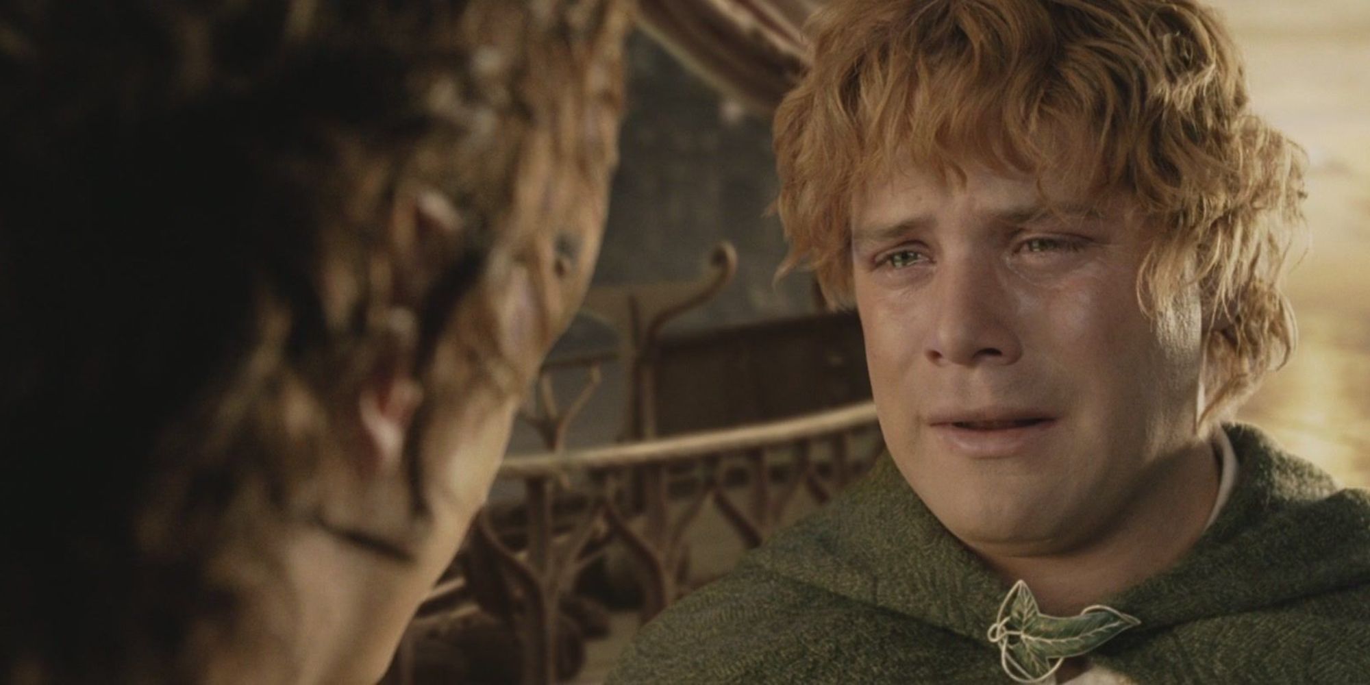 Sam crying at the Grey Havens because Frodo is leaving in Lord of the Rings: The Return of the King.