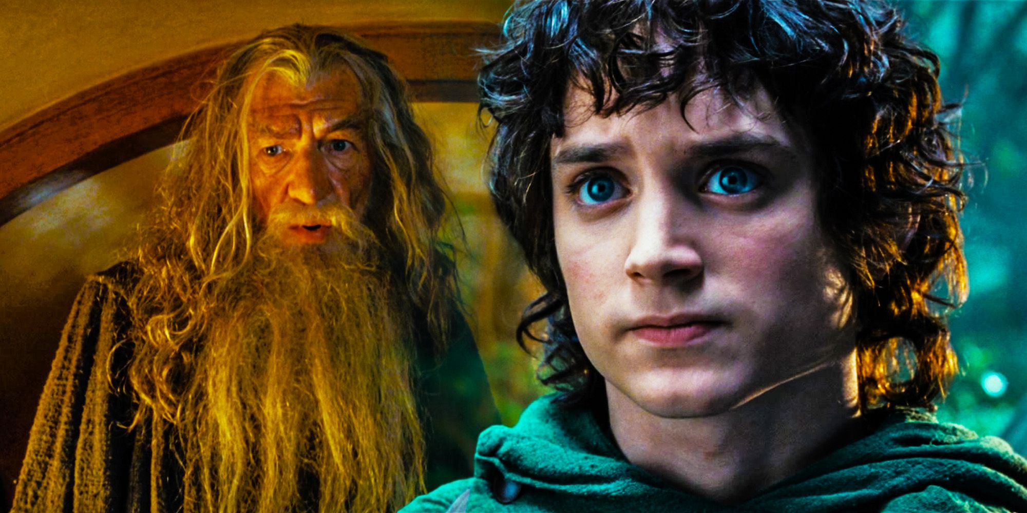Frodo Gandalf lord of the rings fellowship of the ring shire