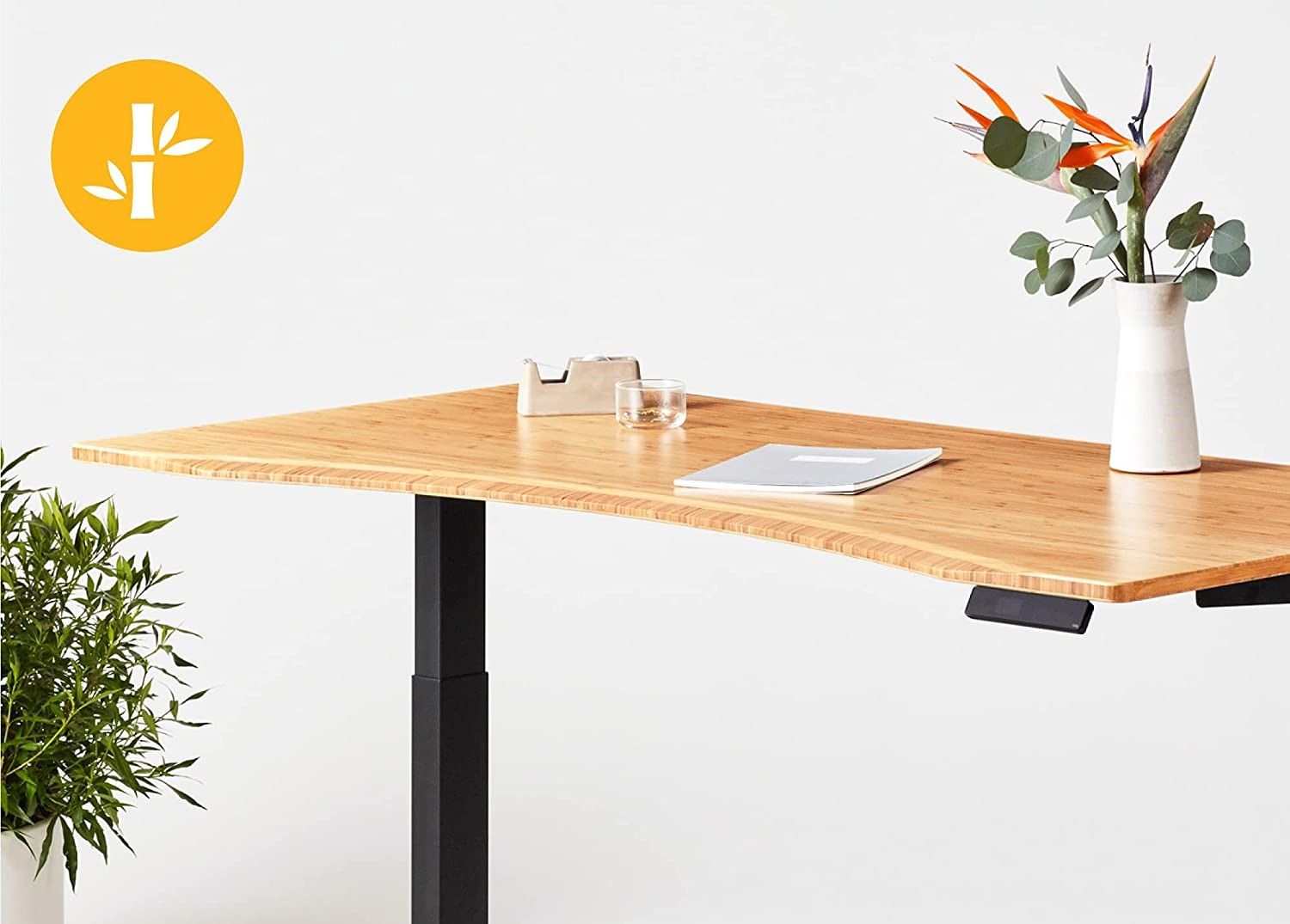 Fully Jarvis Standing Desk 3