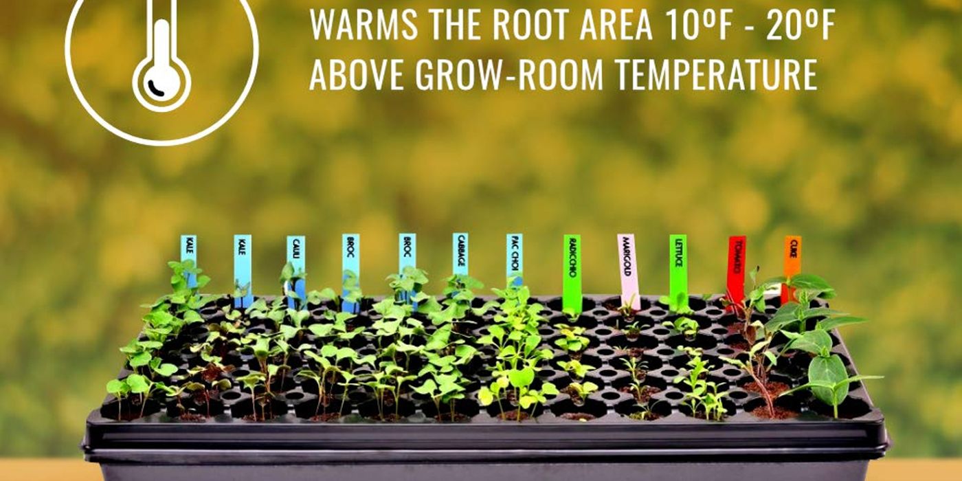 Um tapete térmico de sementes da Growerology é visto