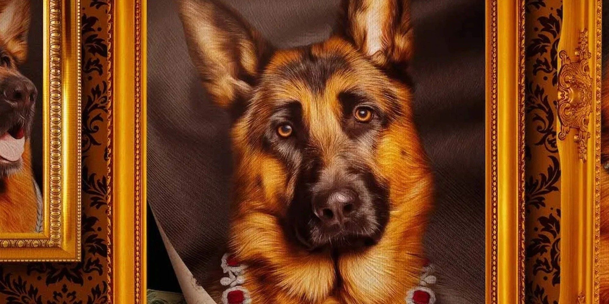 Netflix’s Millionaire Dog Documentary Gets So Much Weirder Than You Think