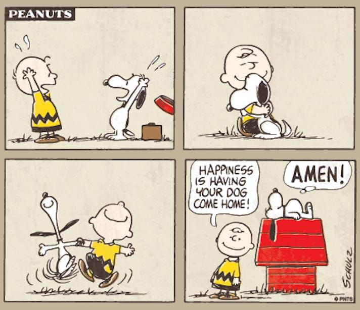 Charlie Brown and Snoopy celebrating