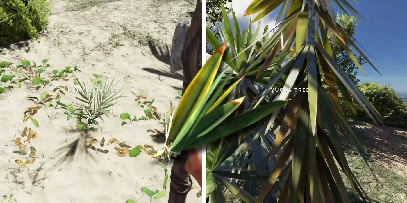 How To Get Fibrous Leaves In Stranded Deep