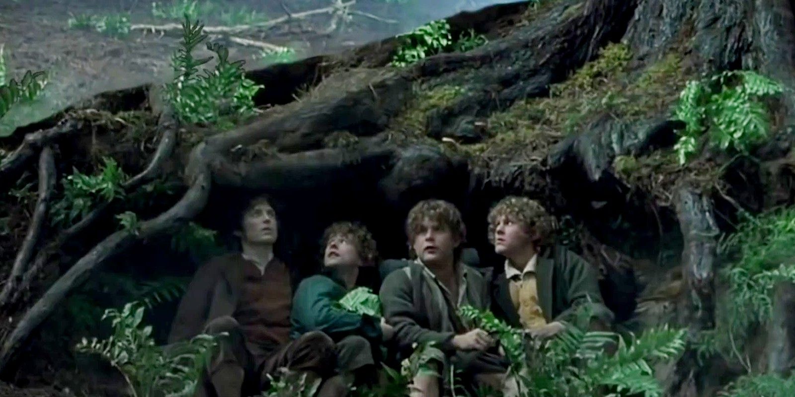 Hobbits hiding in Fellowship of the Ring