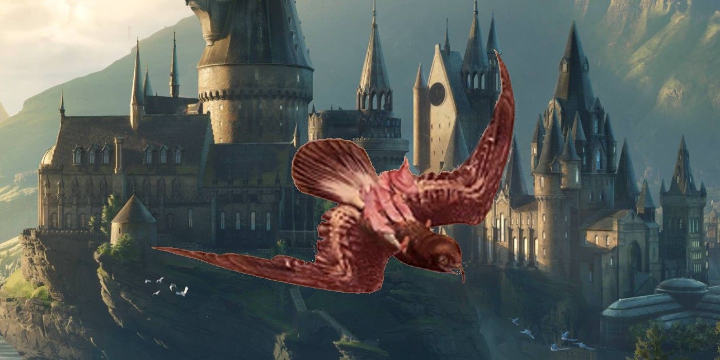 A student riding a giant storm petrel as they do at the Japanese magic school in front of Hogwarts.