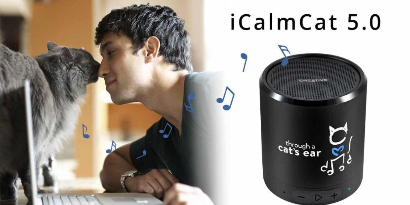 iCalm 5.0 mobile speaker ads appear