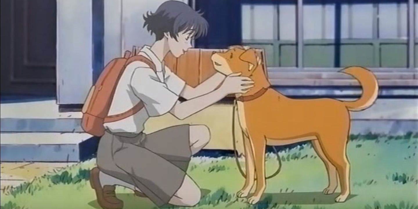 10 Best Anime About Having A Pet