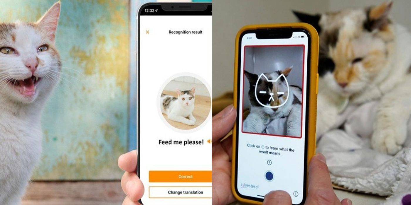 10 Apps Designed To Help Cat Owners