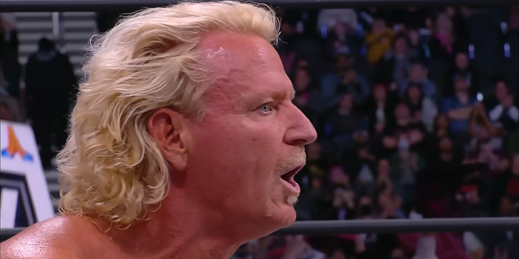 Jeff Jarrett responds to losing a match for the AEW tag-team titles early in 2023.