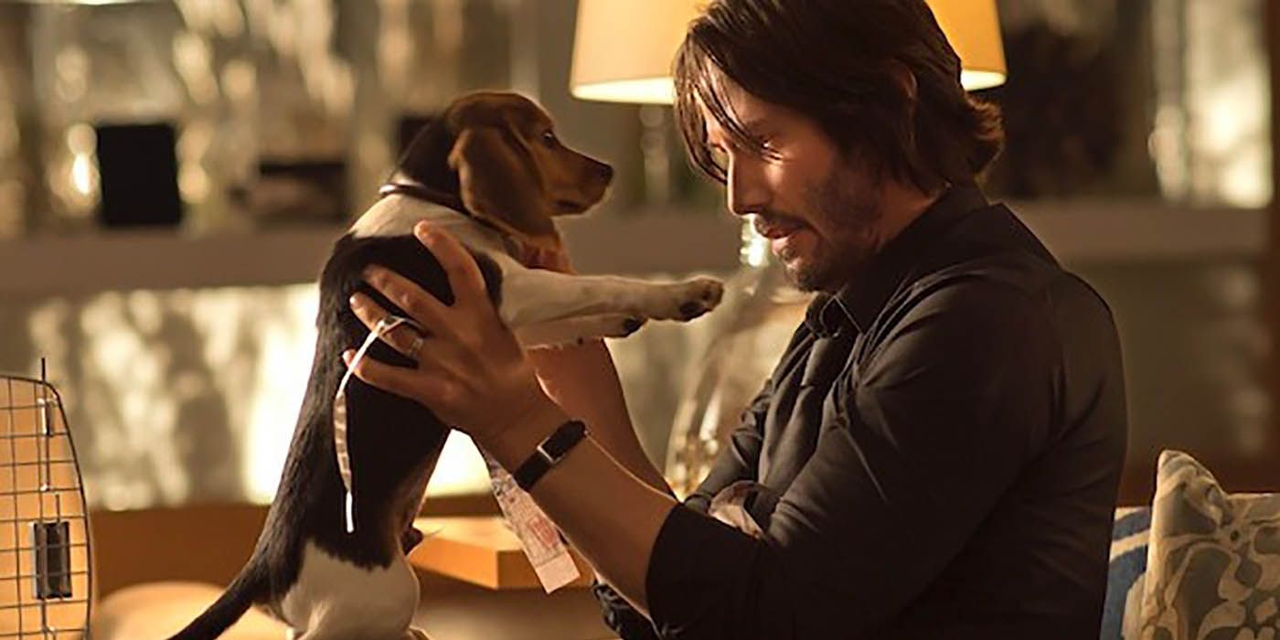 John Wick playing with his little dog.