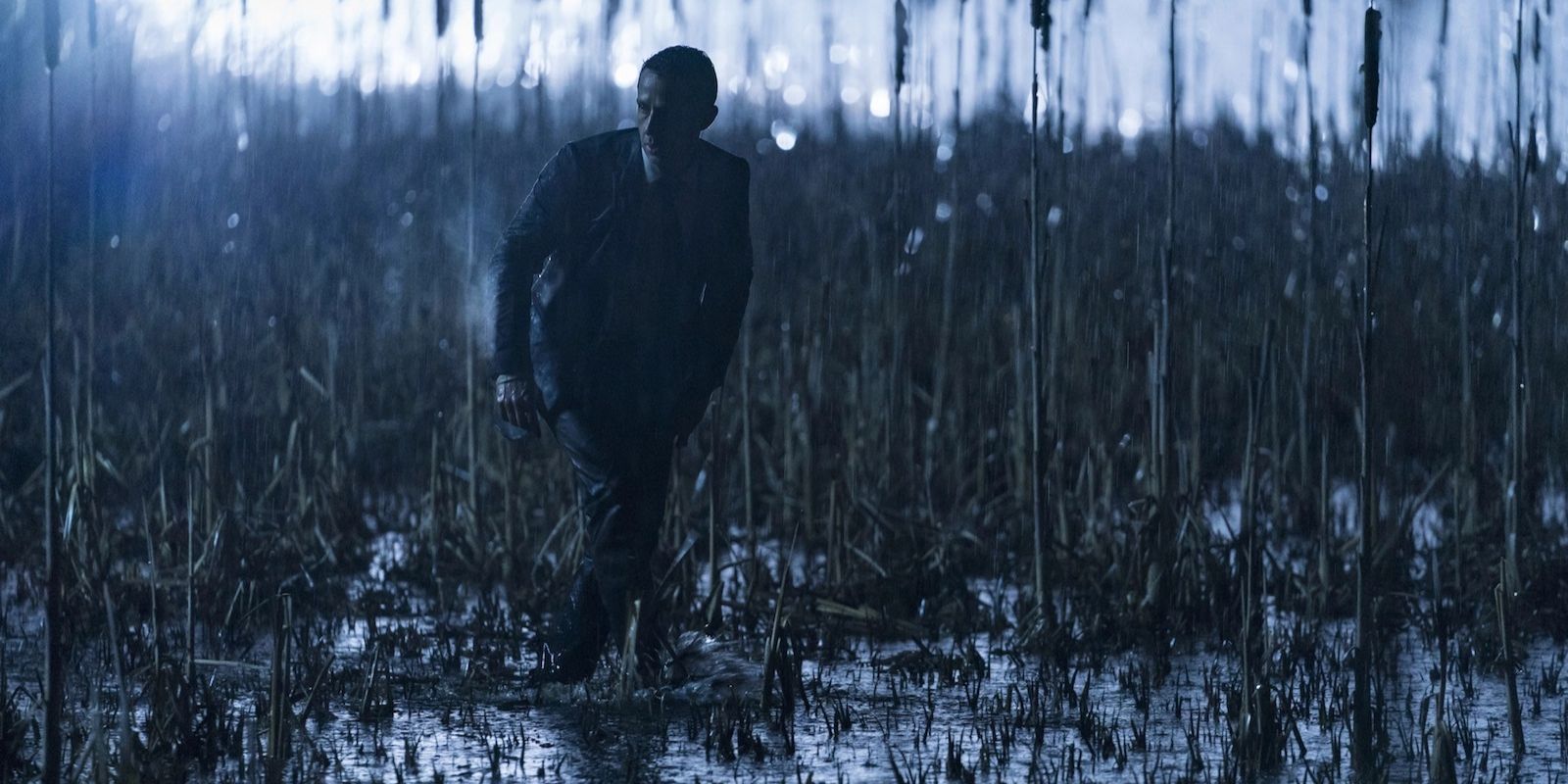 Kendall Roy walking through a rainy swamp at the end of Succession season 1