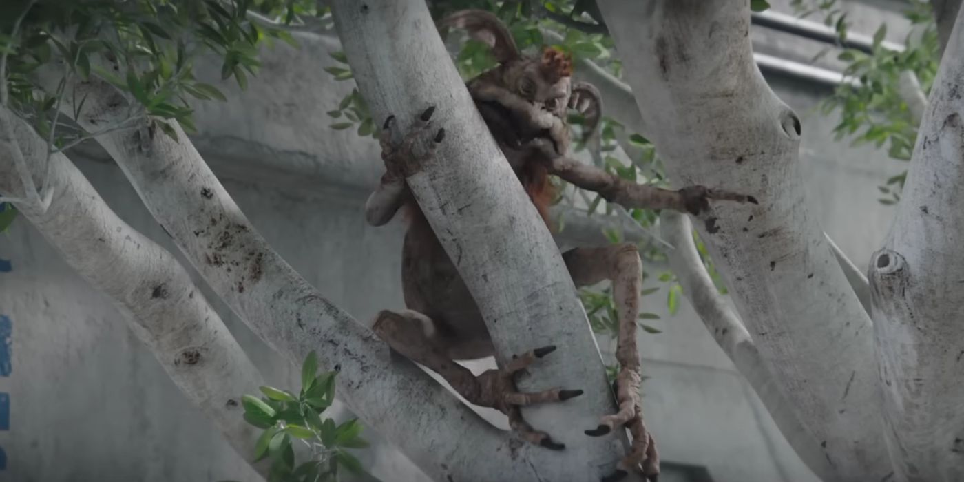 A Kowakian Monkey Lizard in a tree in The Mandalorian season 3.