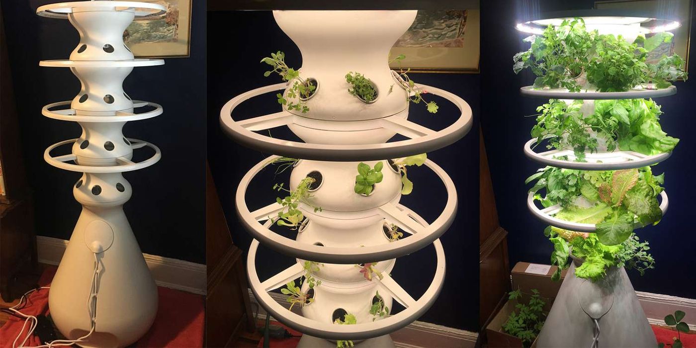 Um LettuceGrow Farmstand é exibido dentro de casa