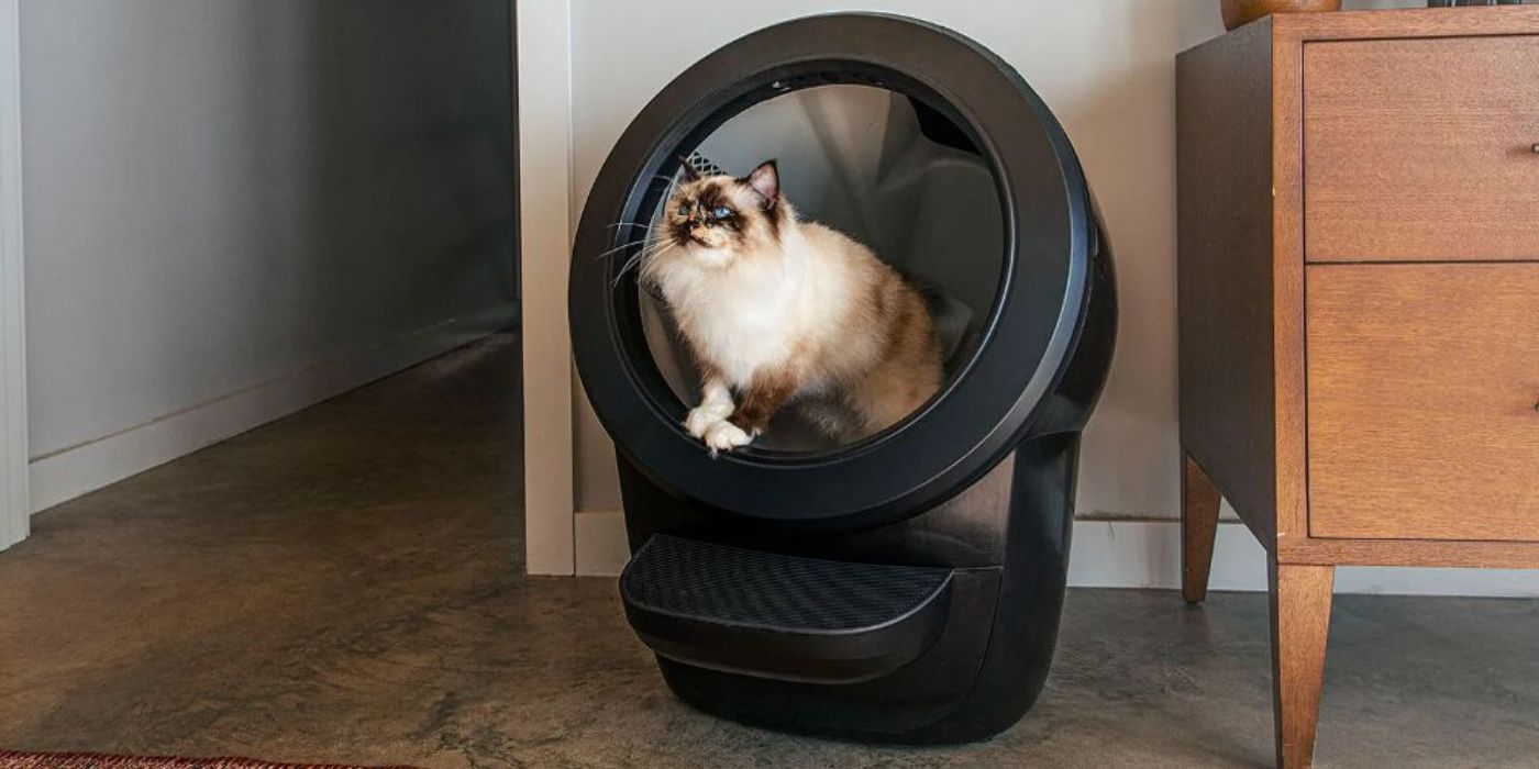 Cats are using the Litter Robot 4 litter box