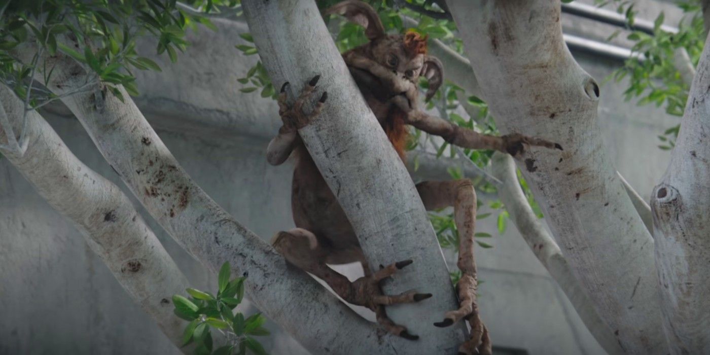 Mandalorian Season 3 Trailer Kowakian Monkey-Lizard