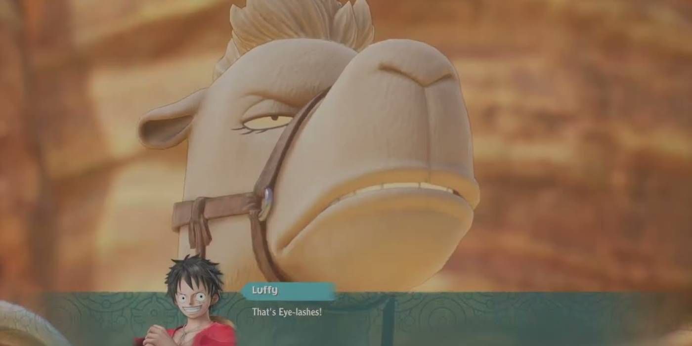 Where To Find Eyelashes The Camel In One Piece Odyssey