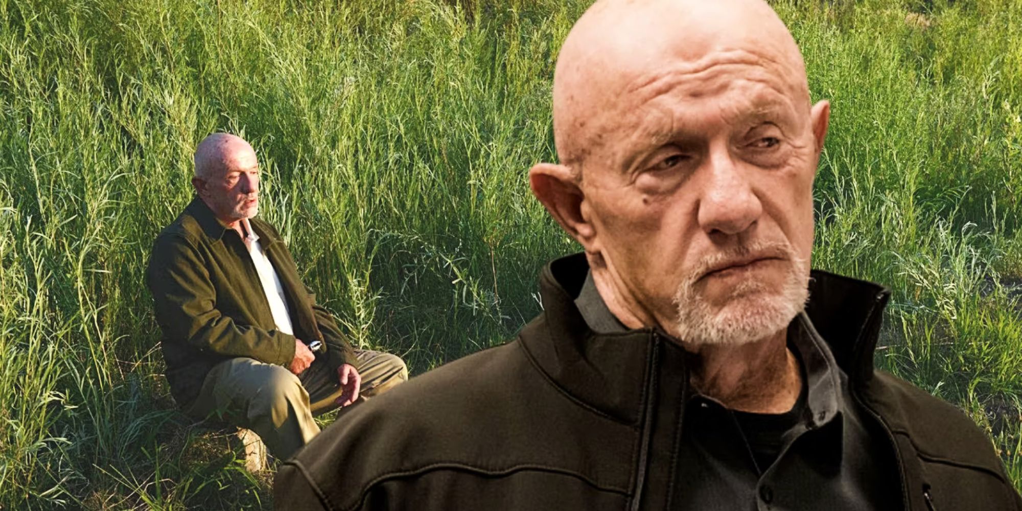 Mike Ehrmantraut's Death In Breaking Bad