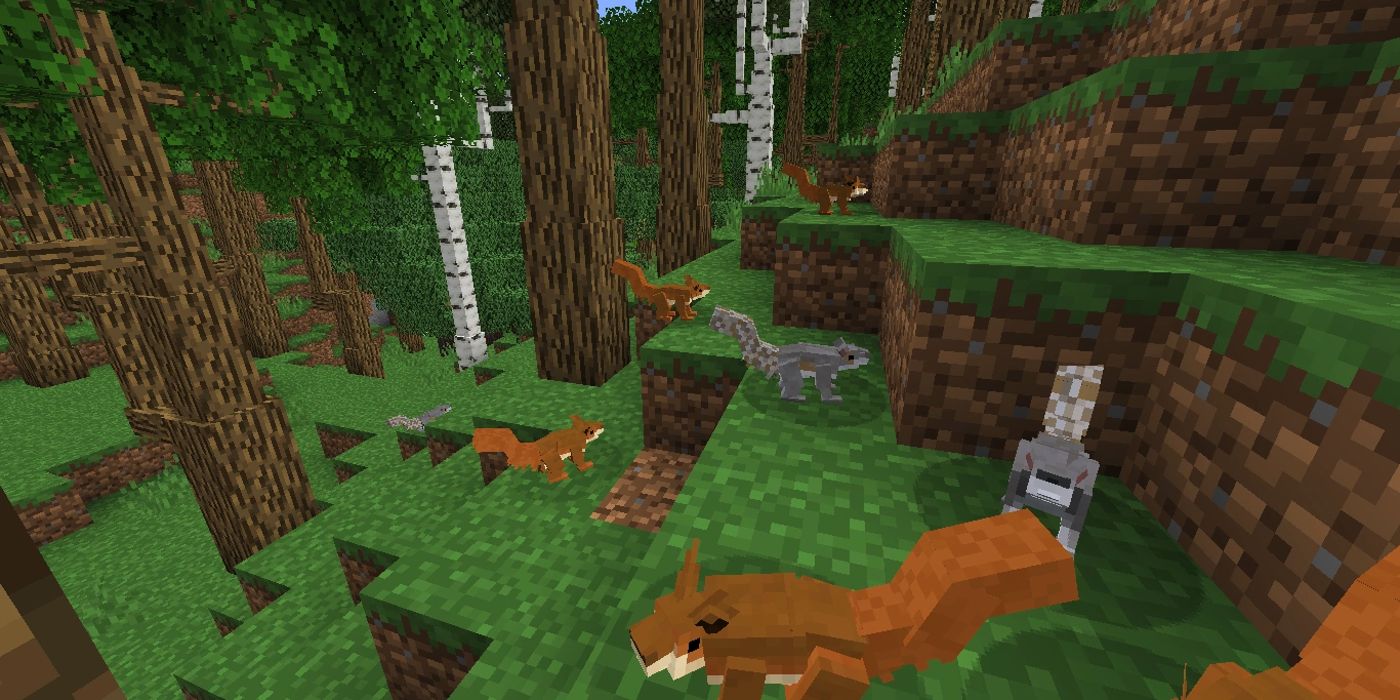 An image of a group of squirrels, on behalf of the Better Animals Plus mod in Minecraft.
