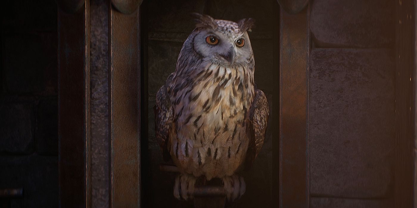 Owl sitting proudly at the Owlery at Hogwarts Legacy