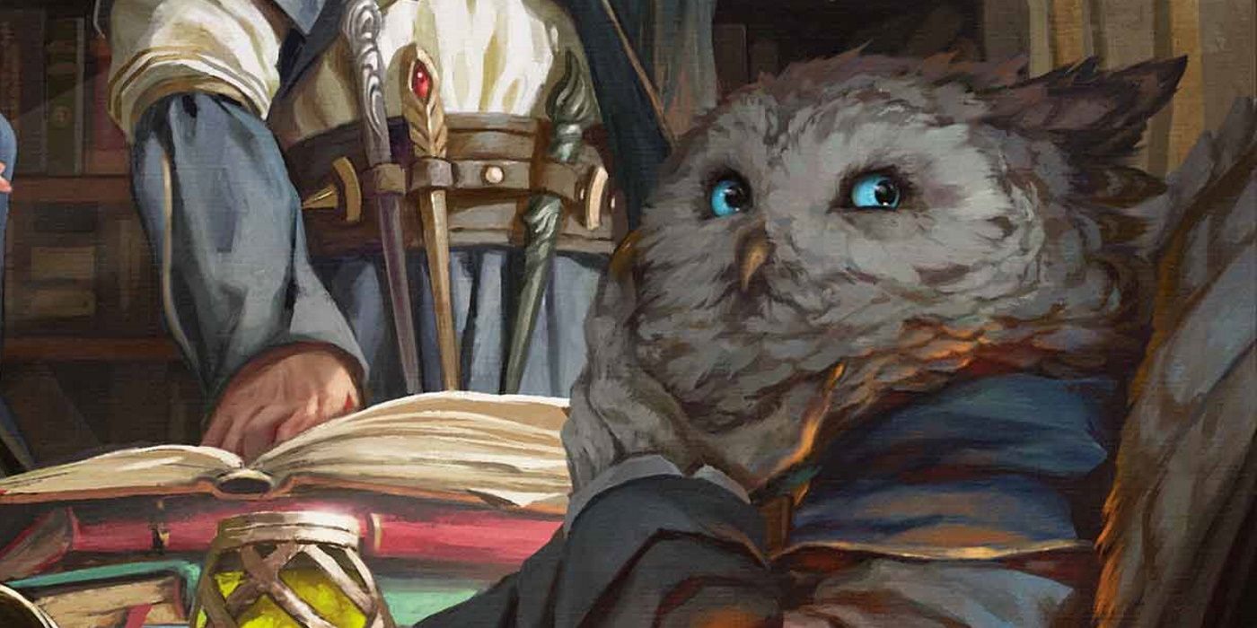 Owlin Dungeons & Dragons character sits thinking