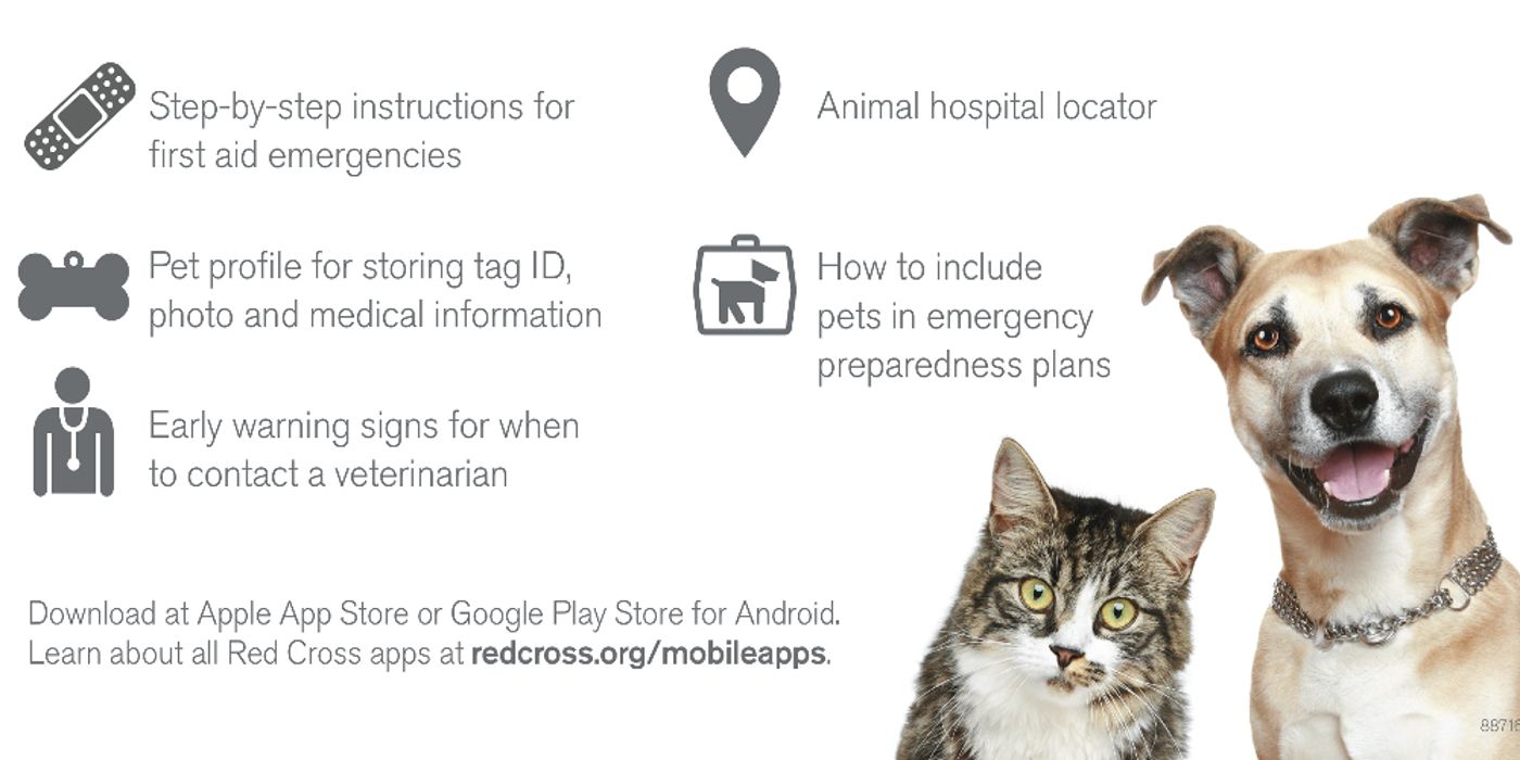 A cat and dog appear on a Pet First Aid app page