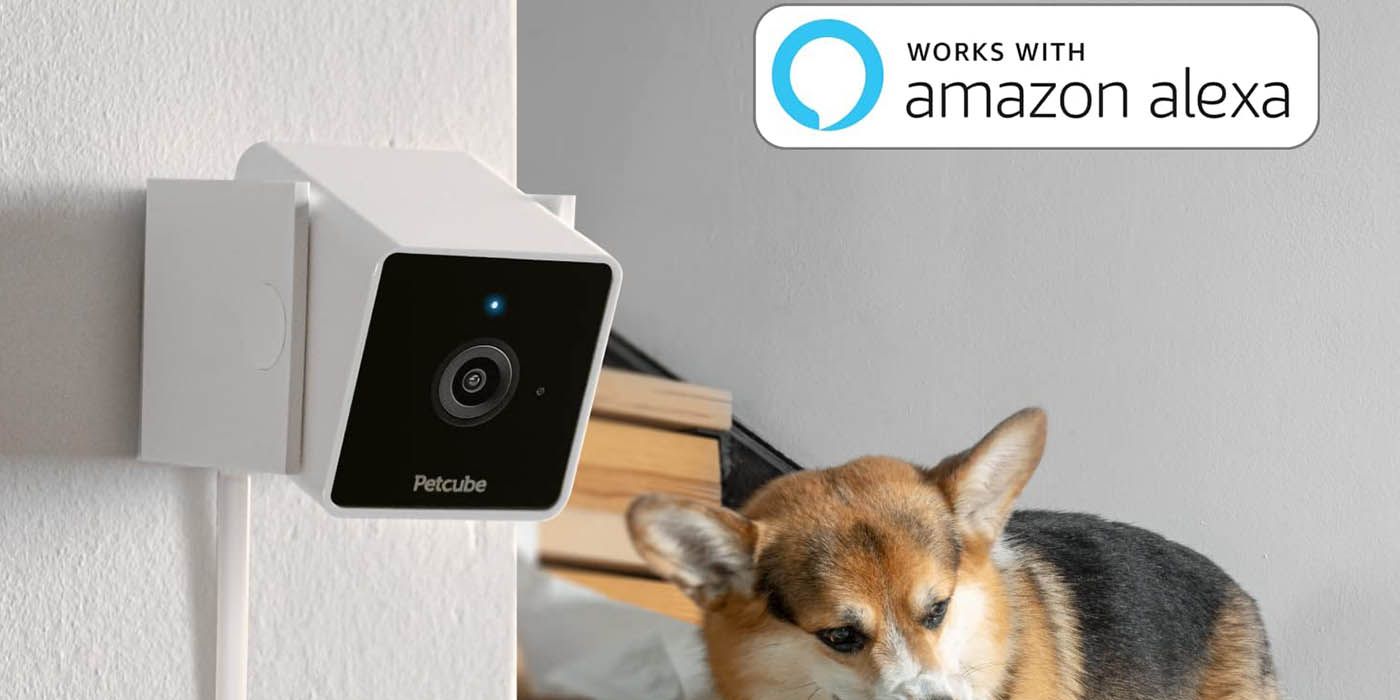 petcube camera
