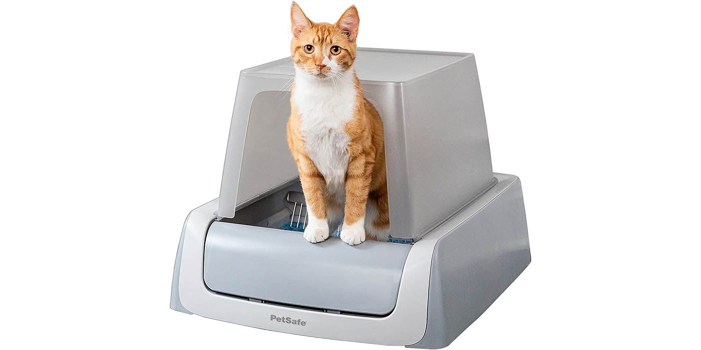 petsafe cat litter box