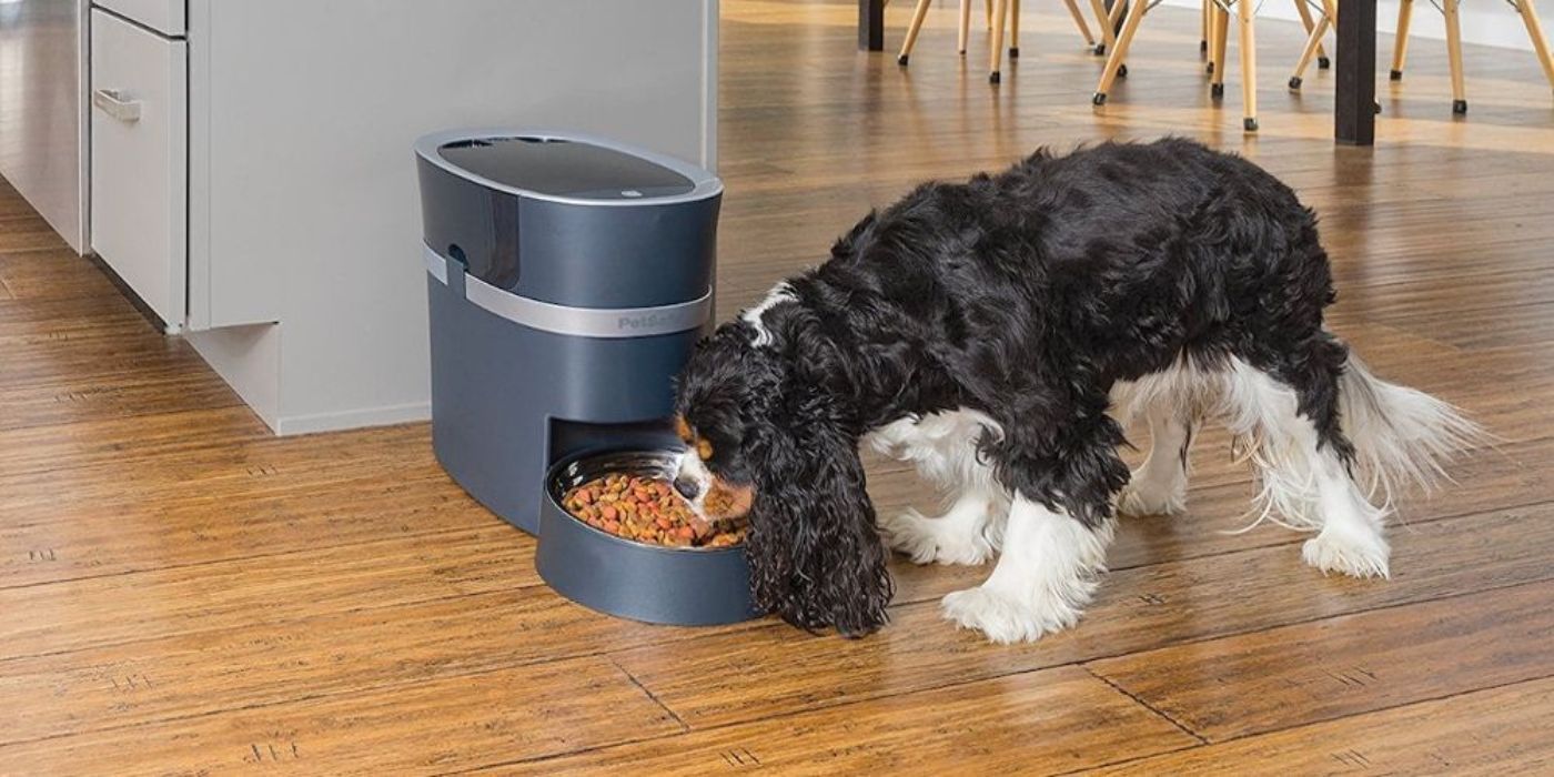 A dog eats from a Petsafe Smart Dog Feeder