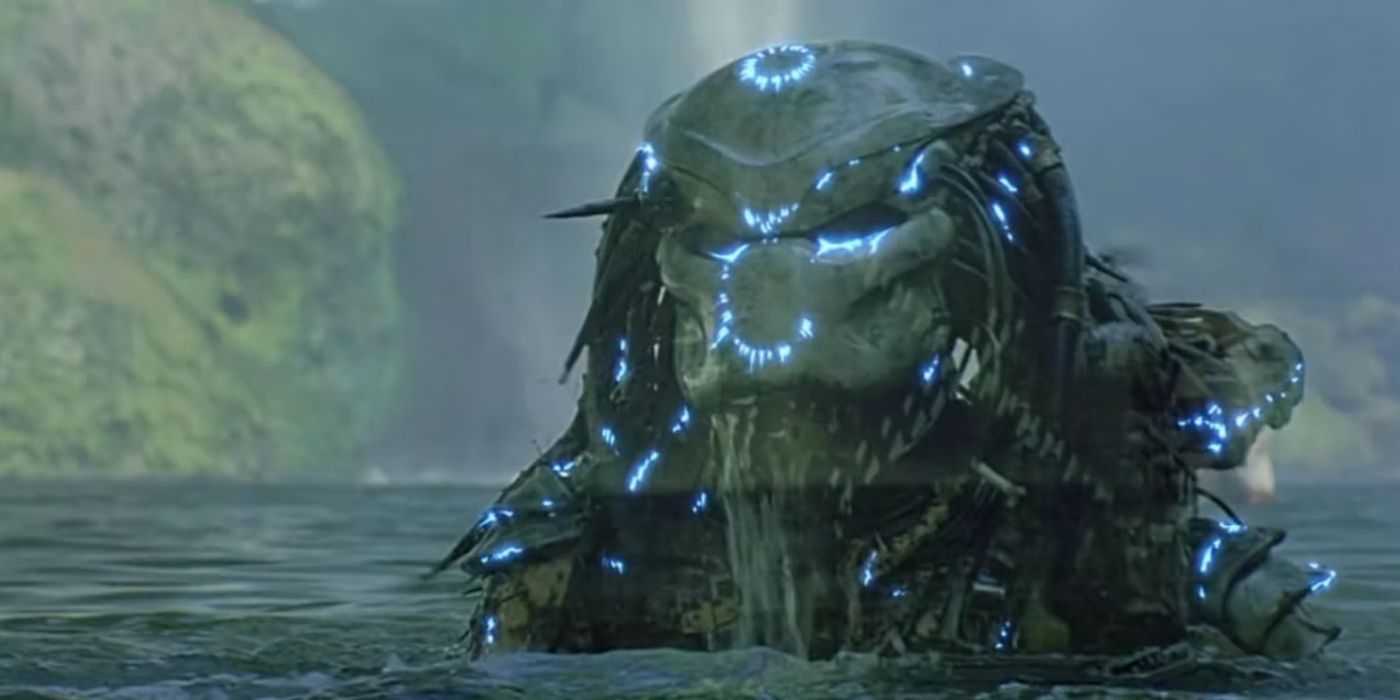 Predator coming out of the water