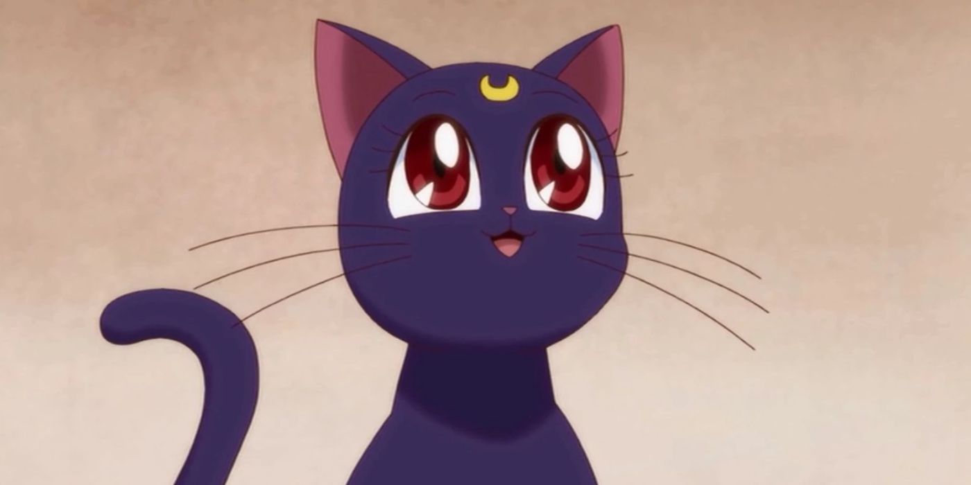 Luna smiling in Sailor Moon.