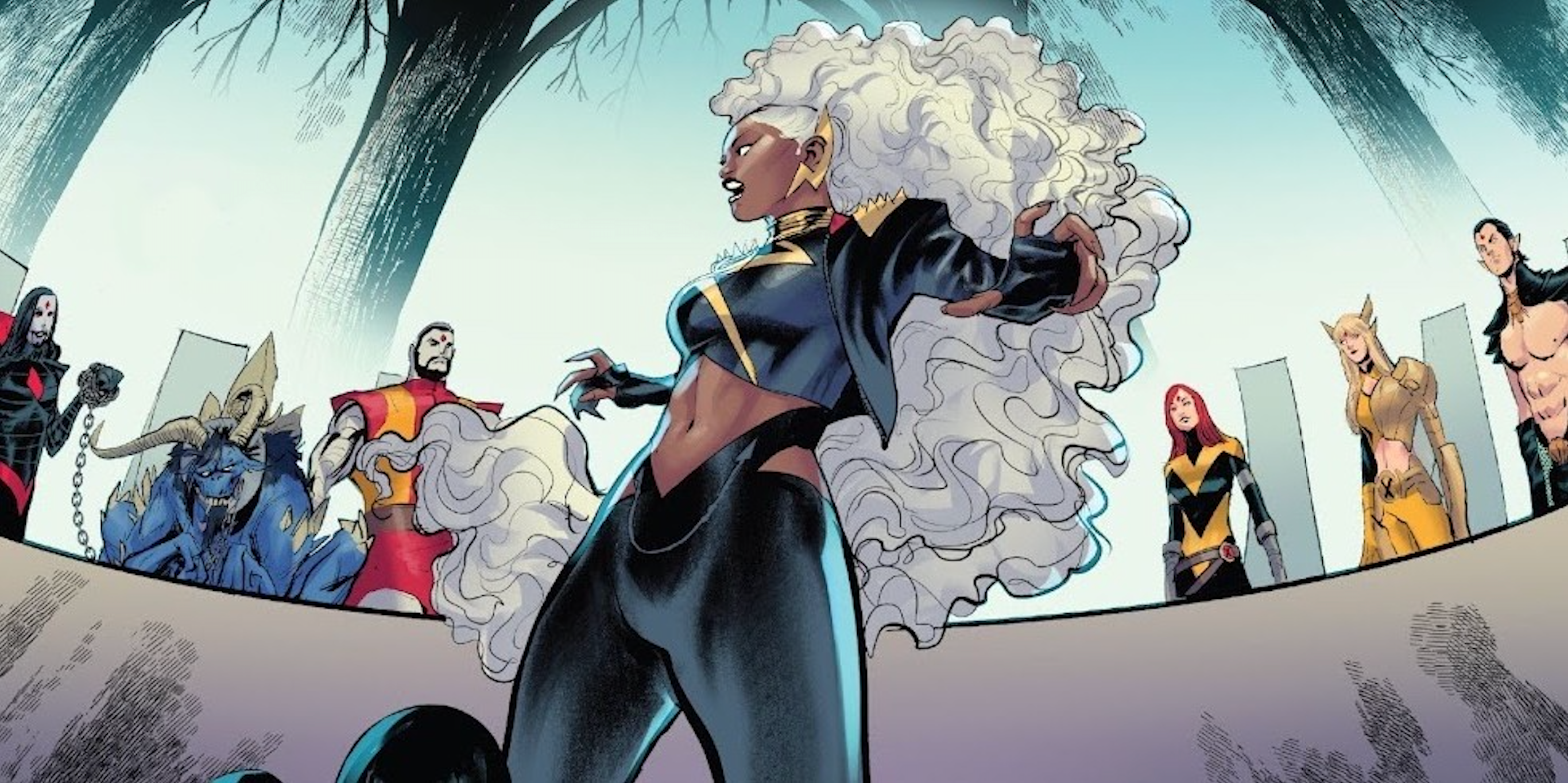 Storm on the X-Men quiet council