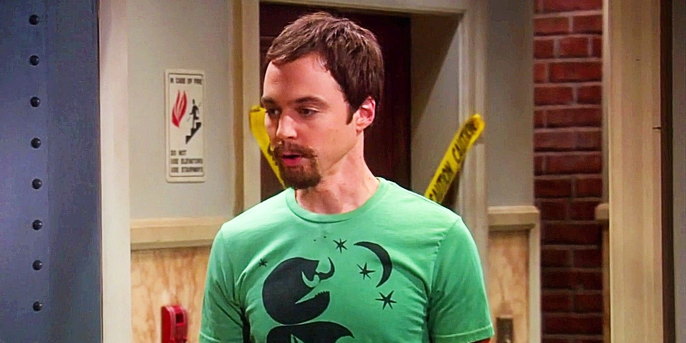 The Big Bang Theory Sheldon with full beard