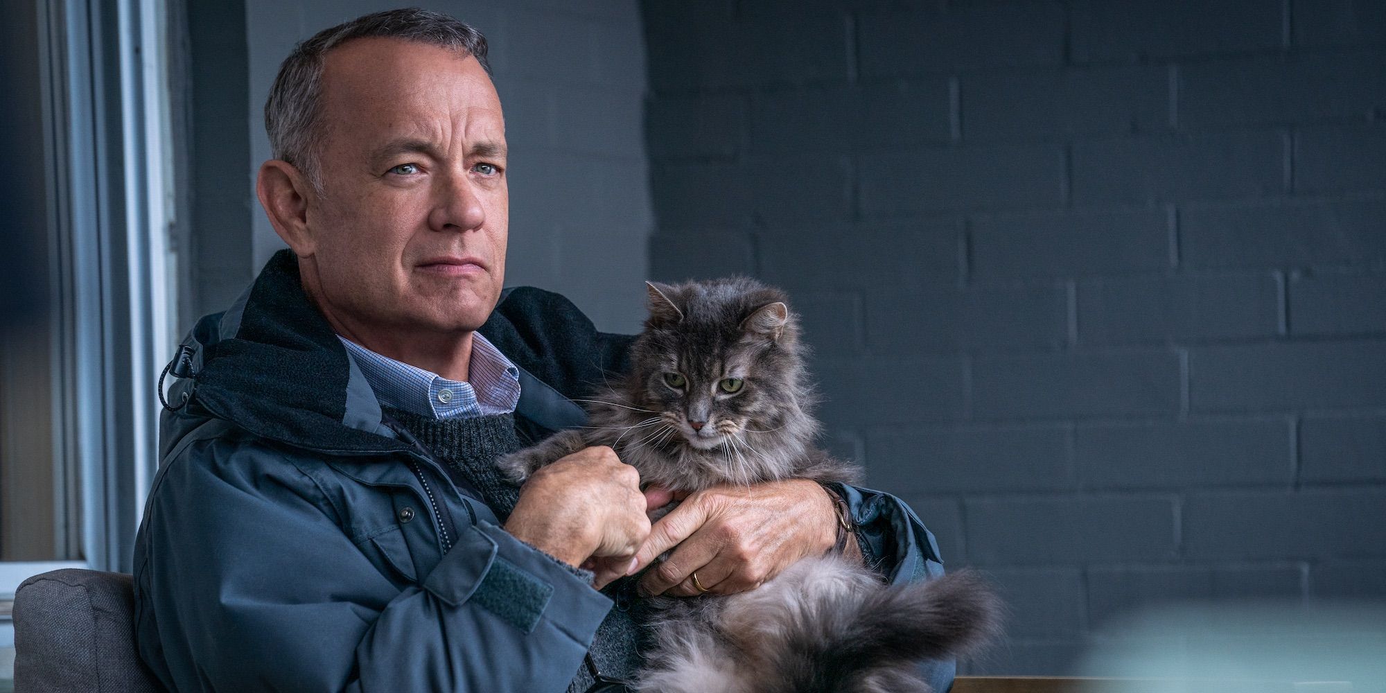 Tom Hanks holding a cat in A Man Called Otto.
