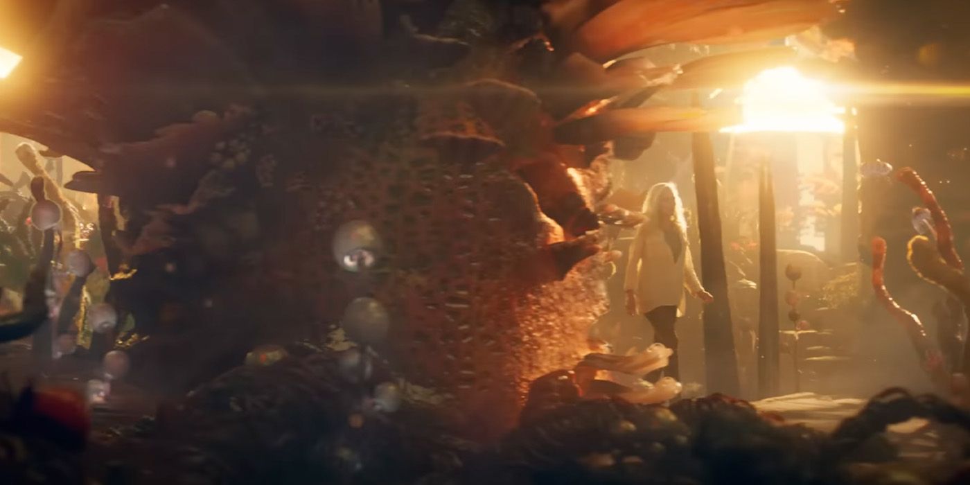 tropica in the quantum realm in ant-man 3