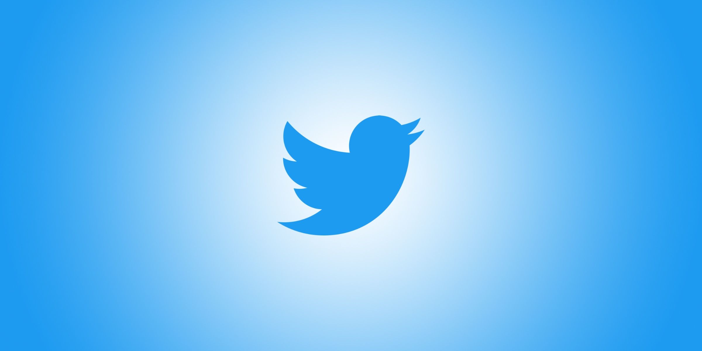 The Twitter logo against a blue background with the Spotlight effect.